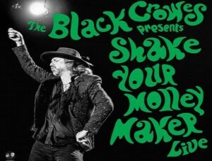 The Black Crowes : Twice as Hard (Live)
