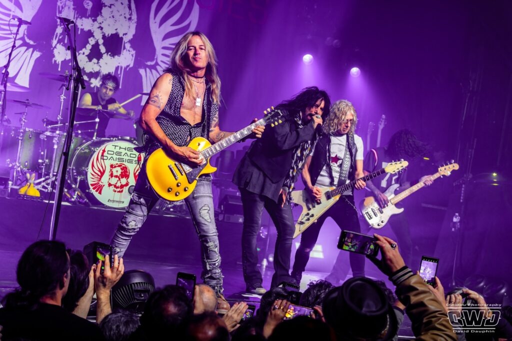 THE DEAD DAISIES