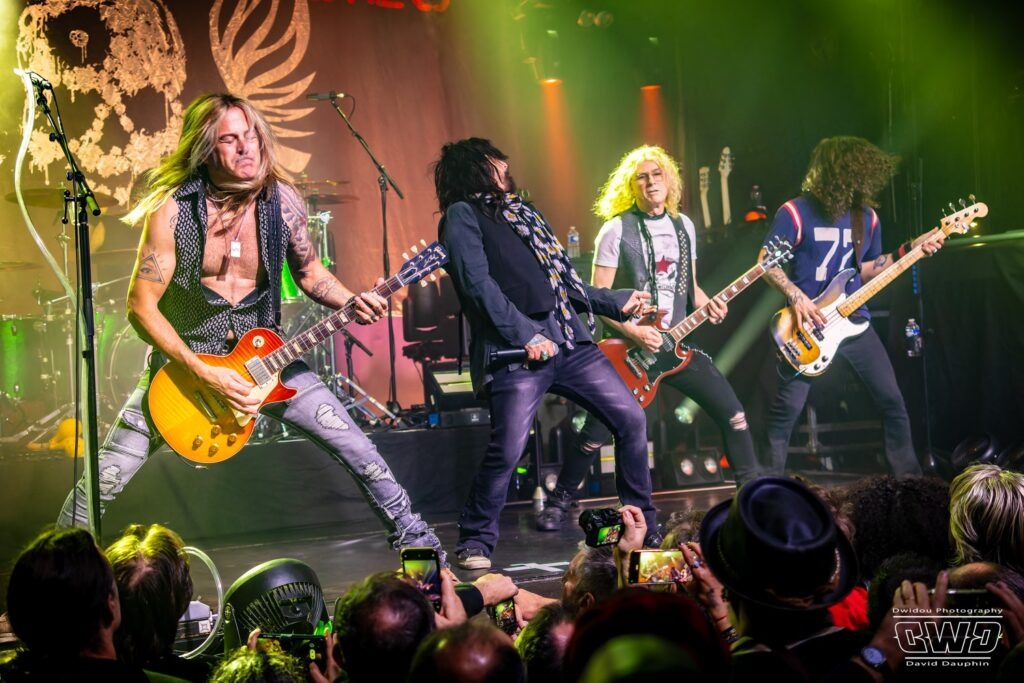 THE DEAD DAISIES