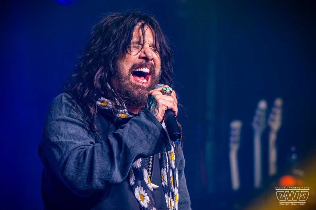 THE DEAD DAISIES