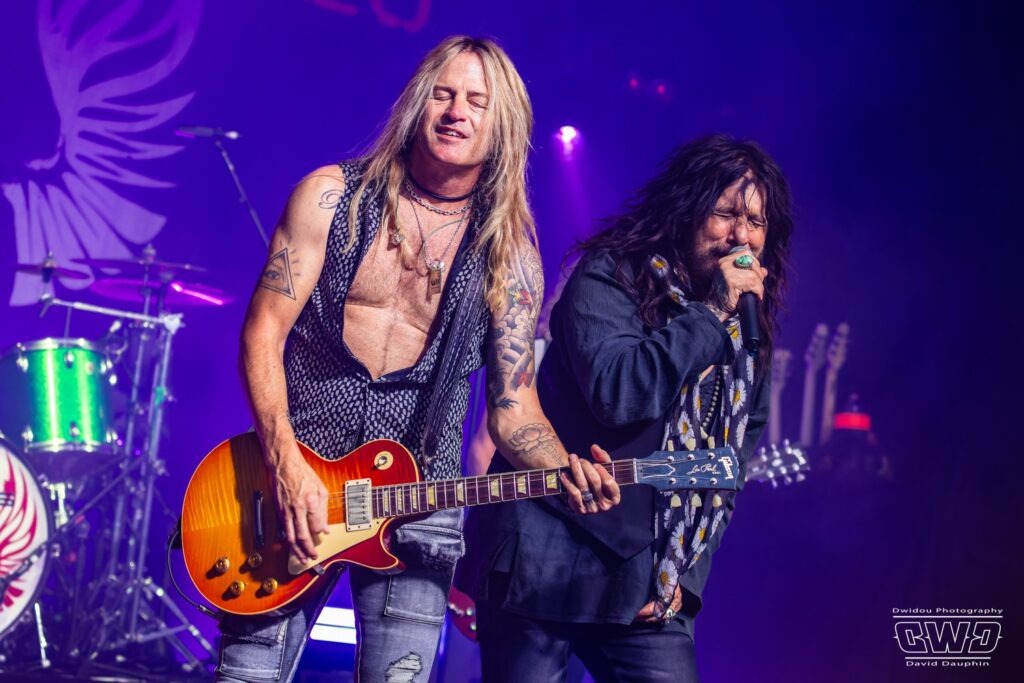THE DEAD DAISIES