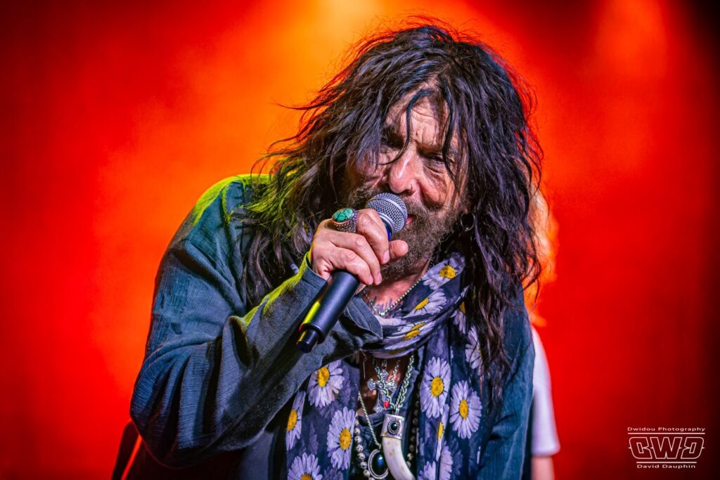 THE DEAD DAISIES