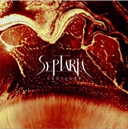 SEPTARIA single