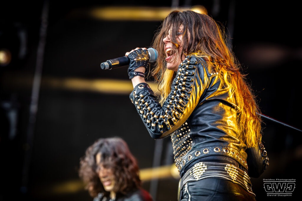 THE LAST INTERNATIONALE