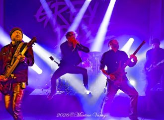 Grey Daze à Petit Bain le 17 mars 2026