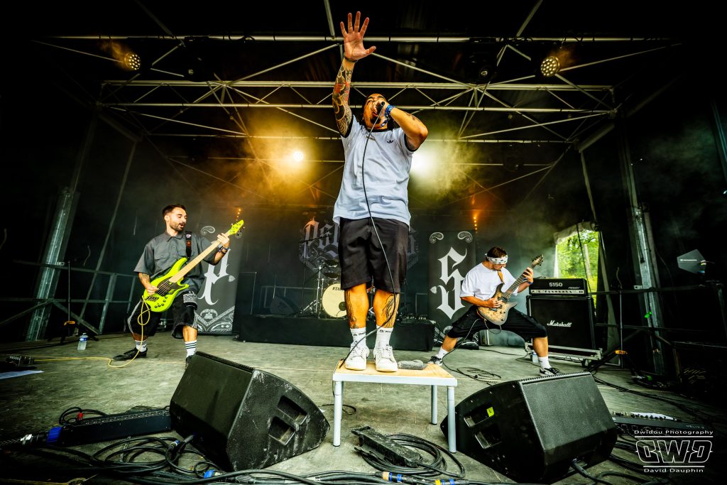 PSYCLONS Live Sylak Open Air Festival 2026